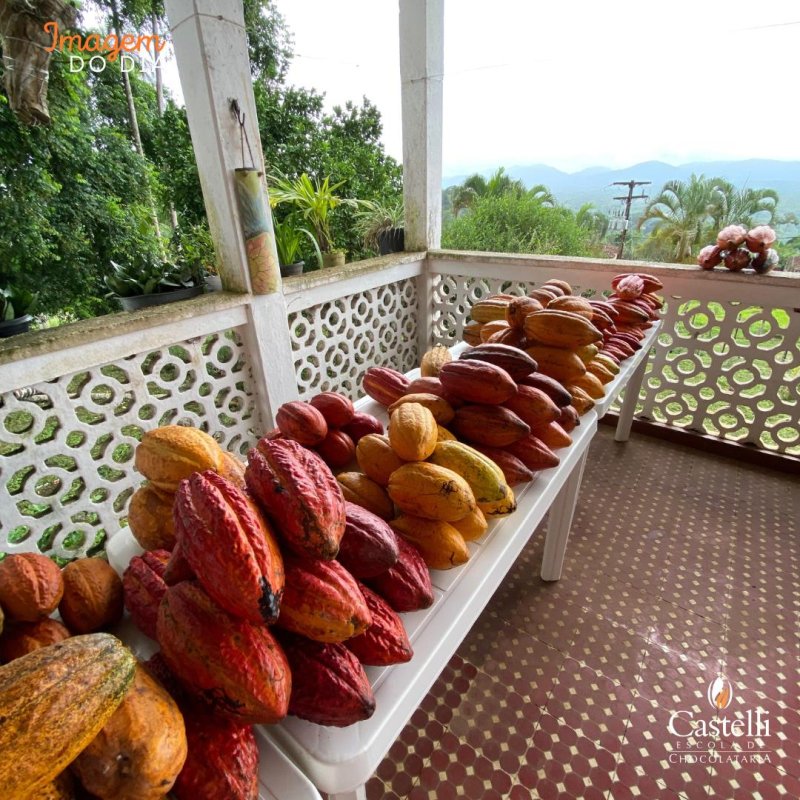 This Porch! Too Special of a Place!