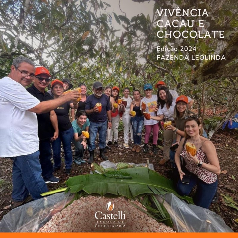 Cocoa and Chocolate Experience 2024!