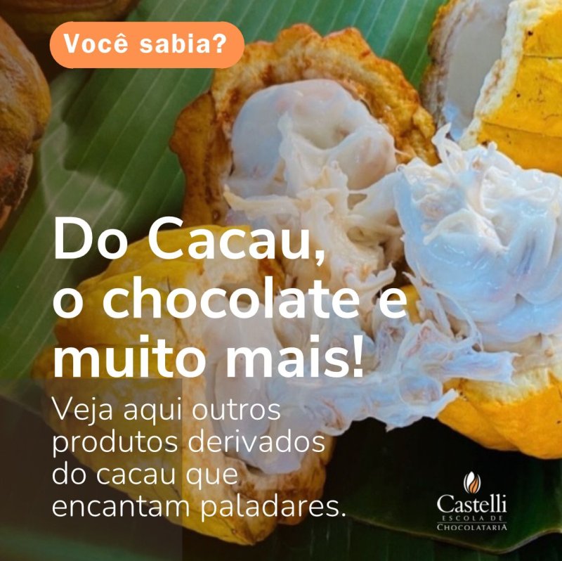 From Cocoa, chocolate and much more!