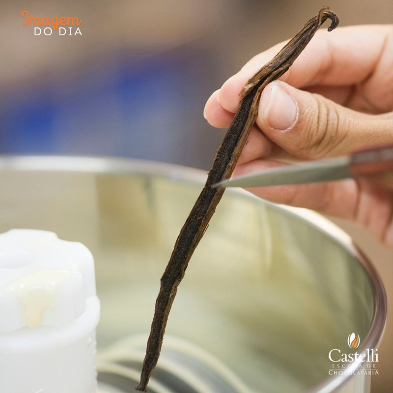 Un poco más sobre el CHOCOLATE BLANCO.